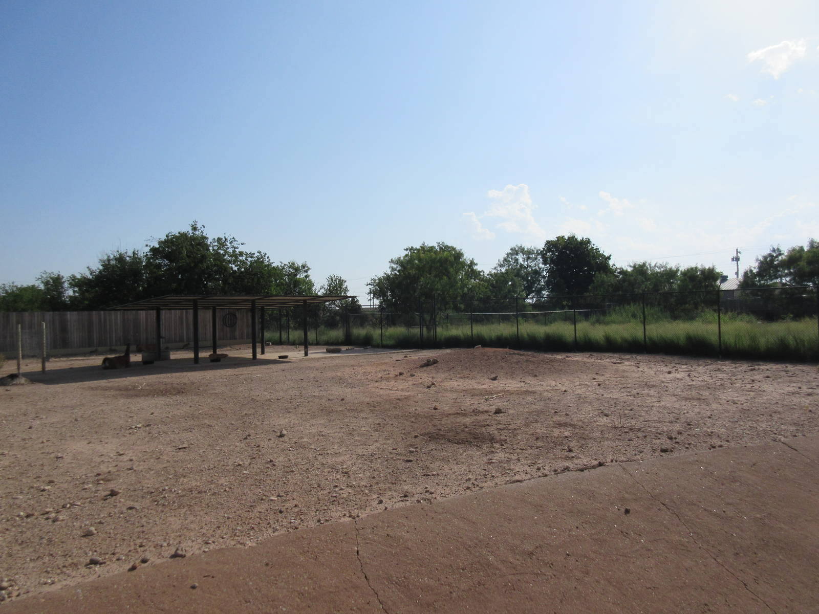 South American Pampas Exhibit - Guanaco/Rhea/Mara (Maned Wolf exhibit in ba