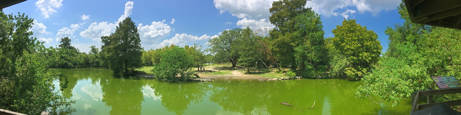 South American Pampas Exhibit