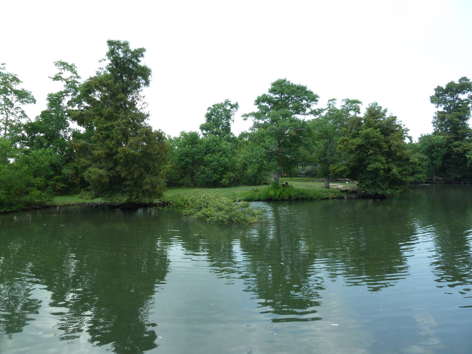 South American Pampas - Multi-Acre, Mixed-Species Exhibit