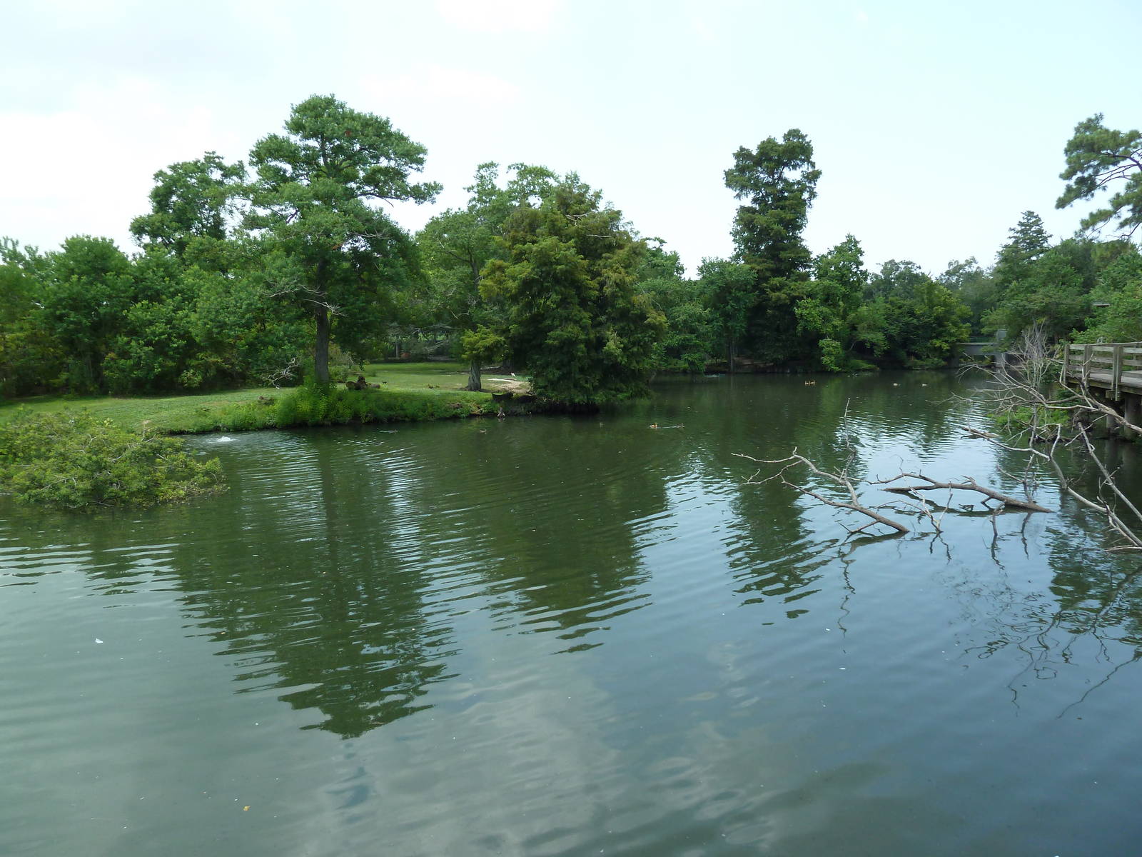 South American Pampas - Multi-Acre, Mixed-Species Exhibit