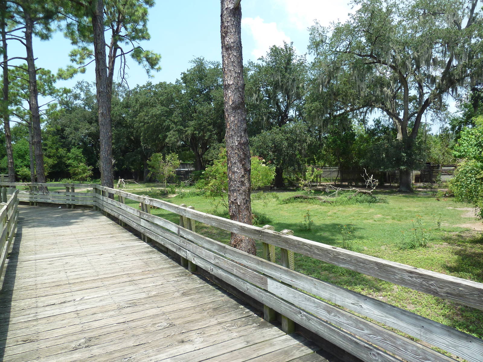 South American Pampas - Multi-Acre, Mixed-Species Exhibit
