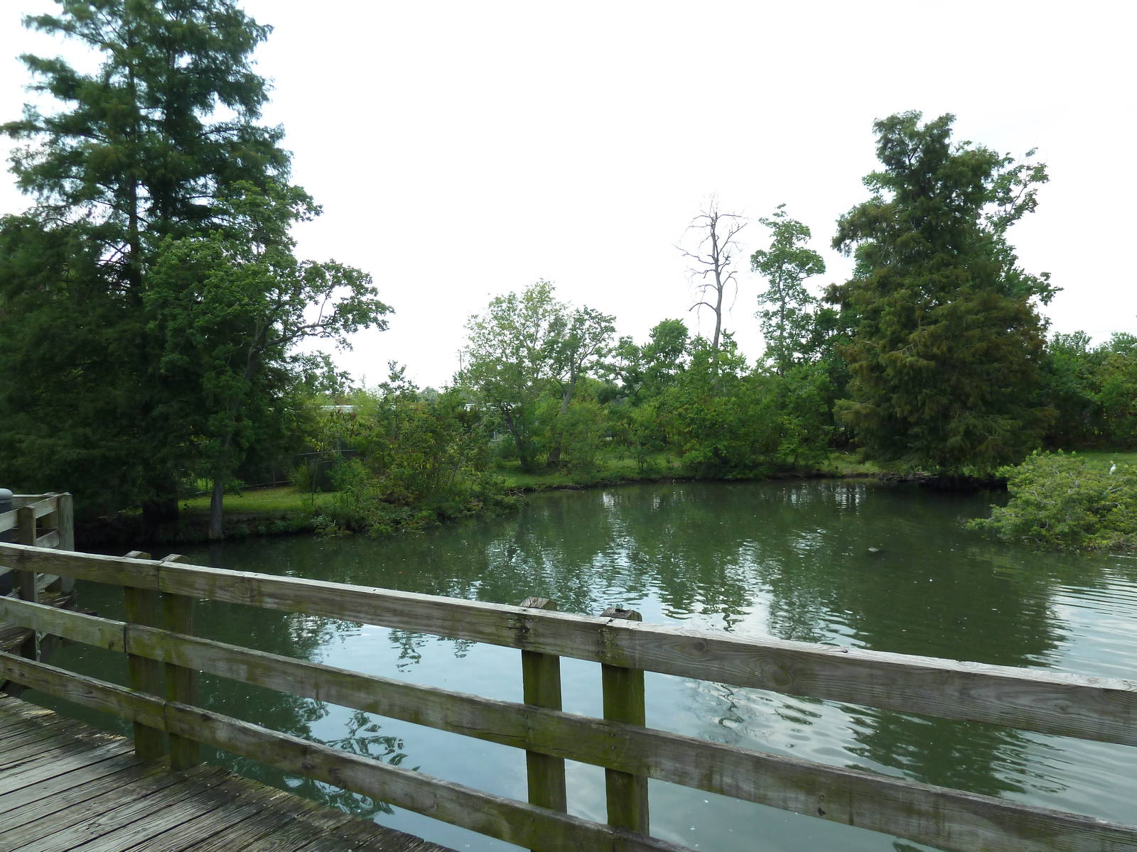 South American Pampas - Multi-Acre, Mixed-Species Exhibit