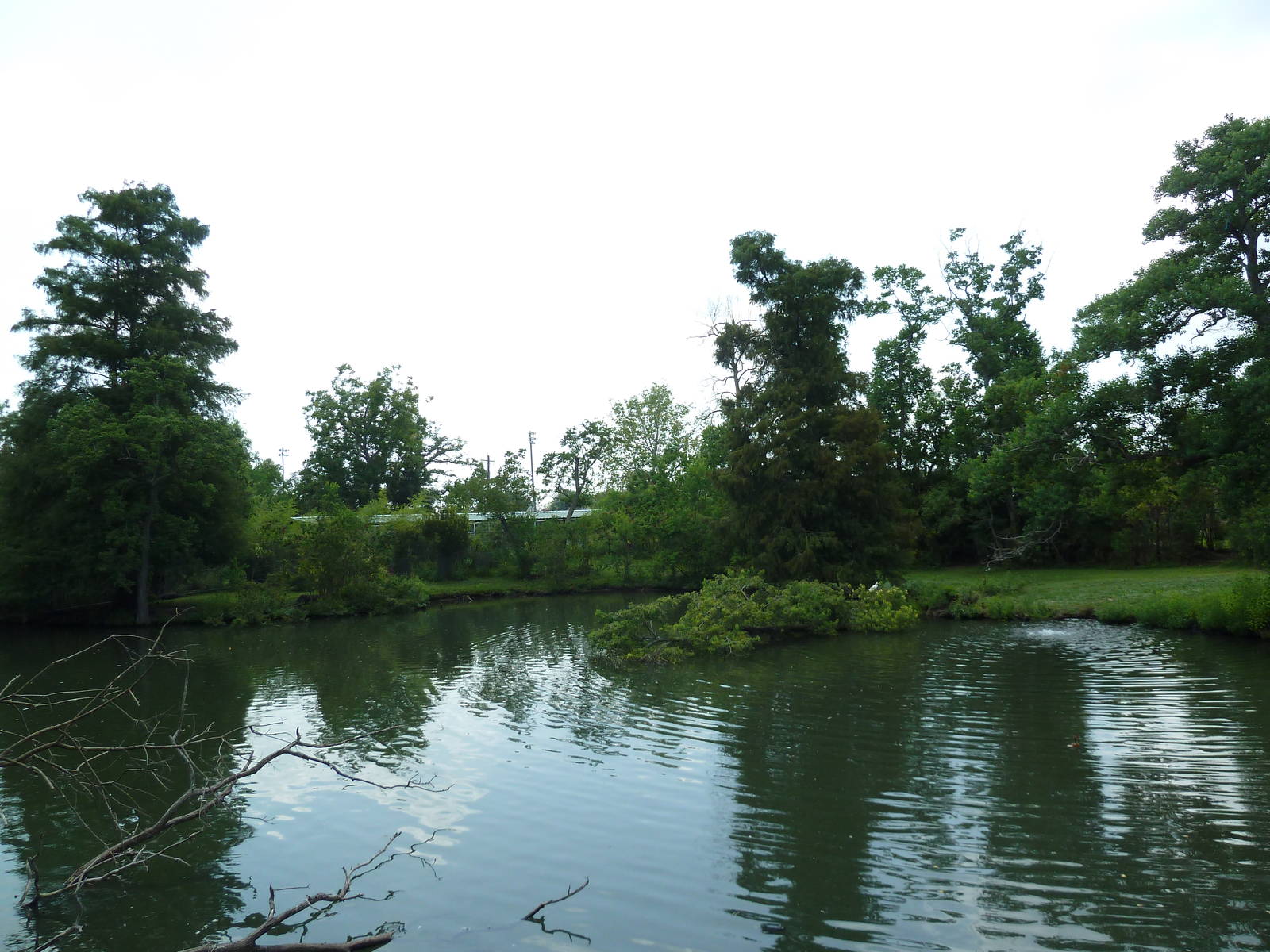 South American Pampas - Multi-Acre, Mixed-Species Exhibit