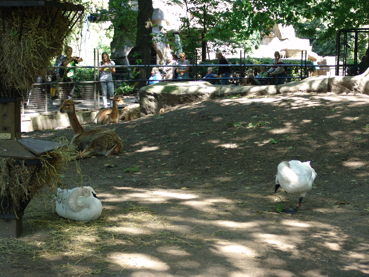 "South American Pampas"