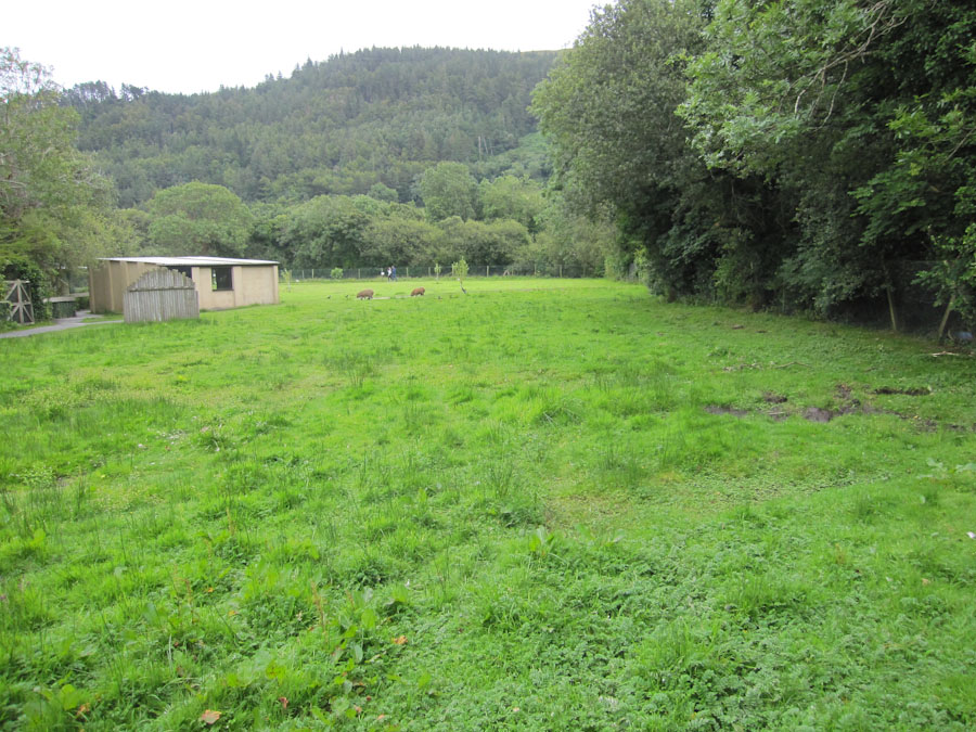 South American Pampas