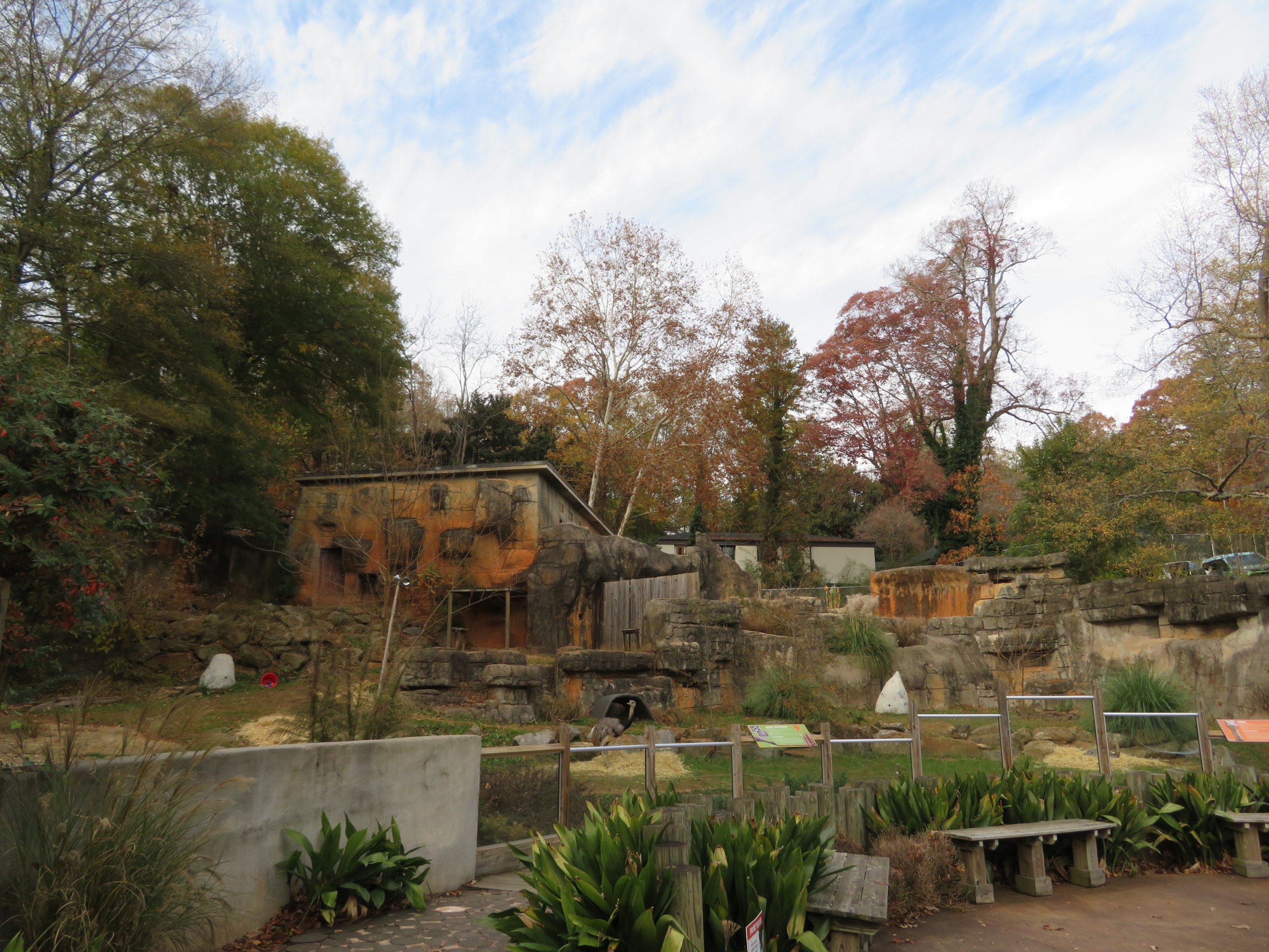 South American Pampas