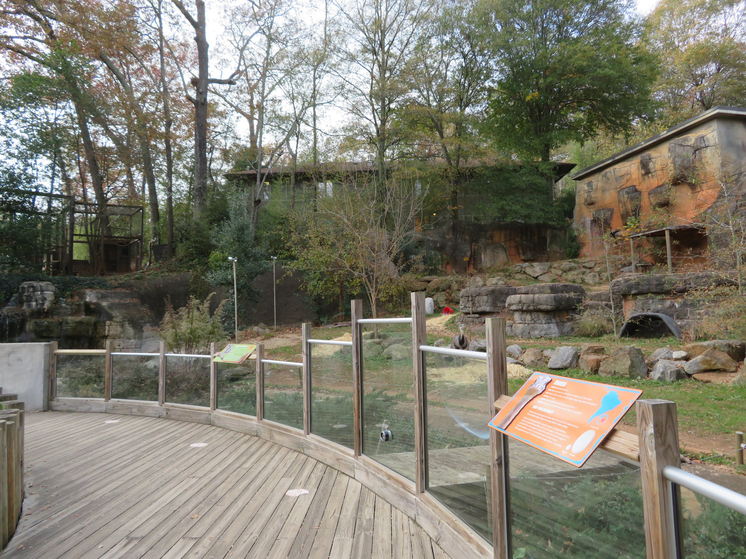 South American Pampas