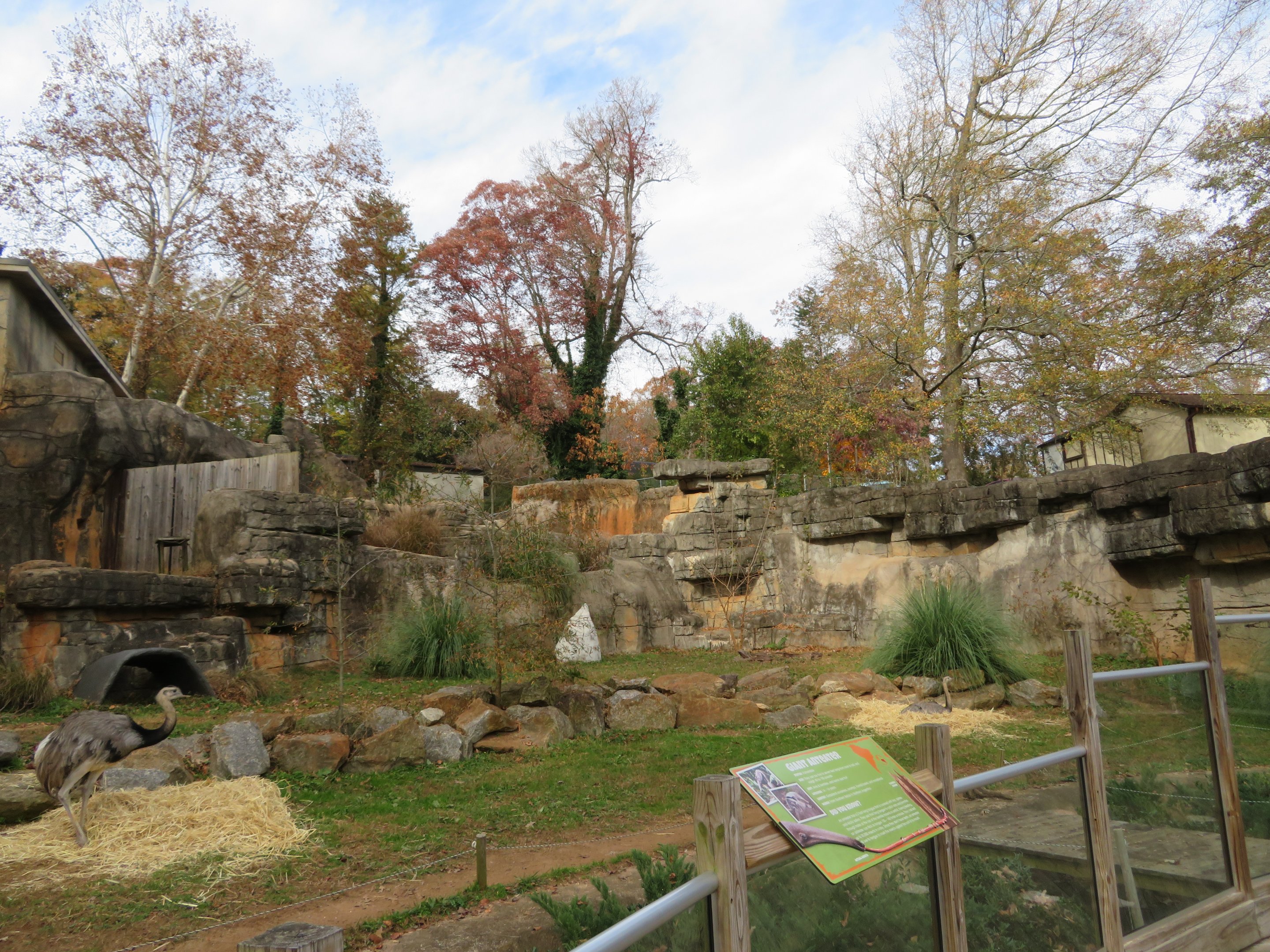 South American Pampas