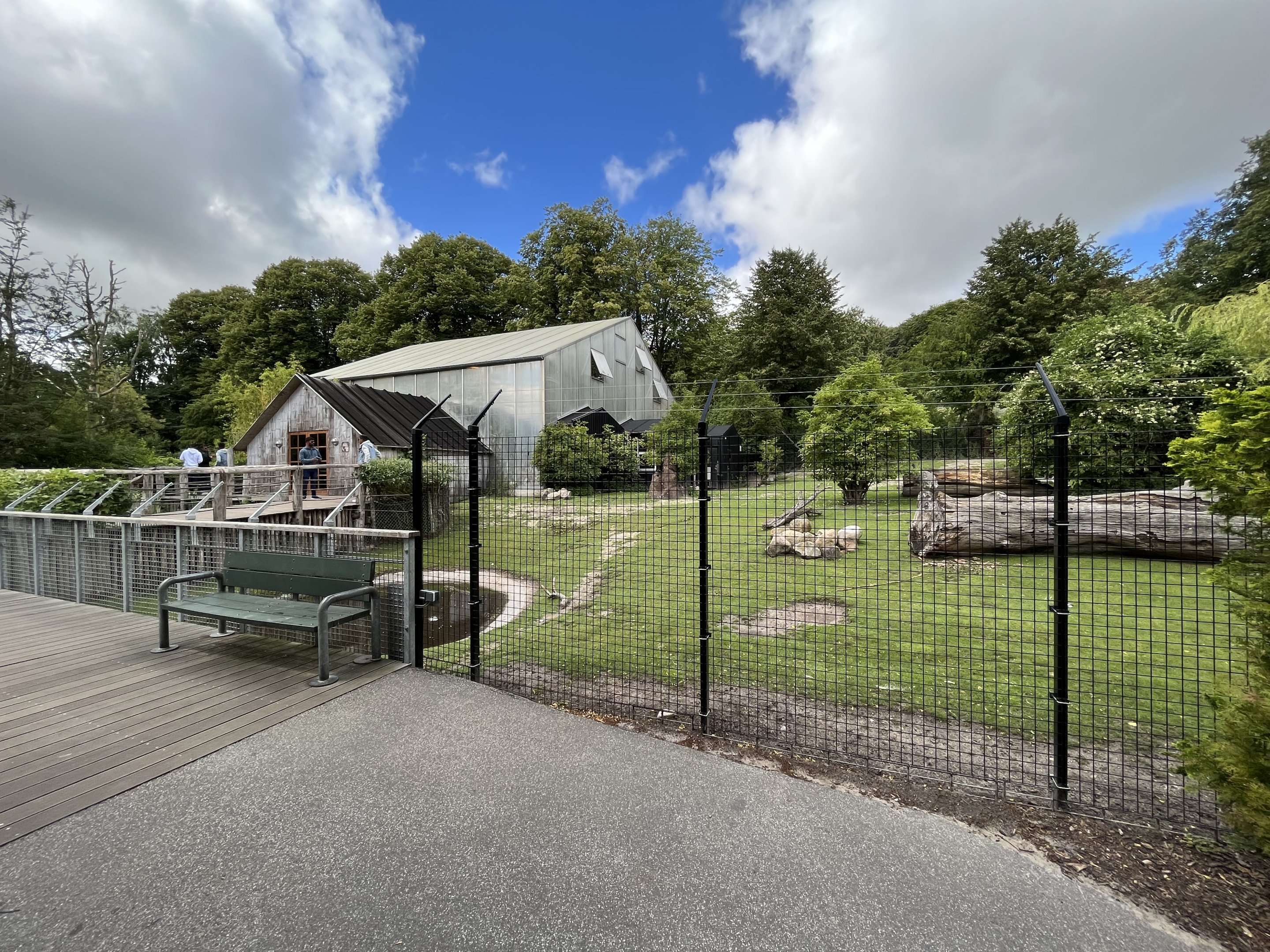 South American Pampas