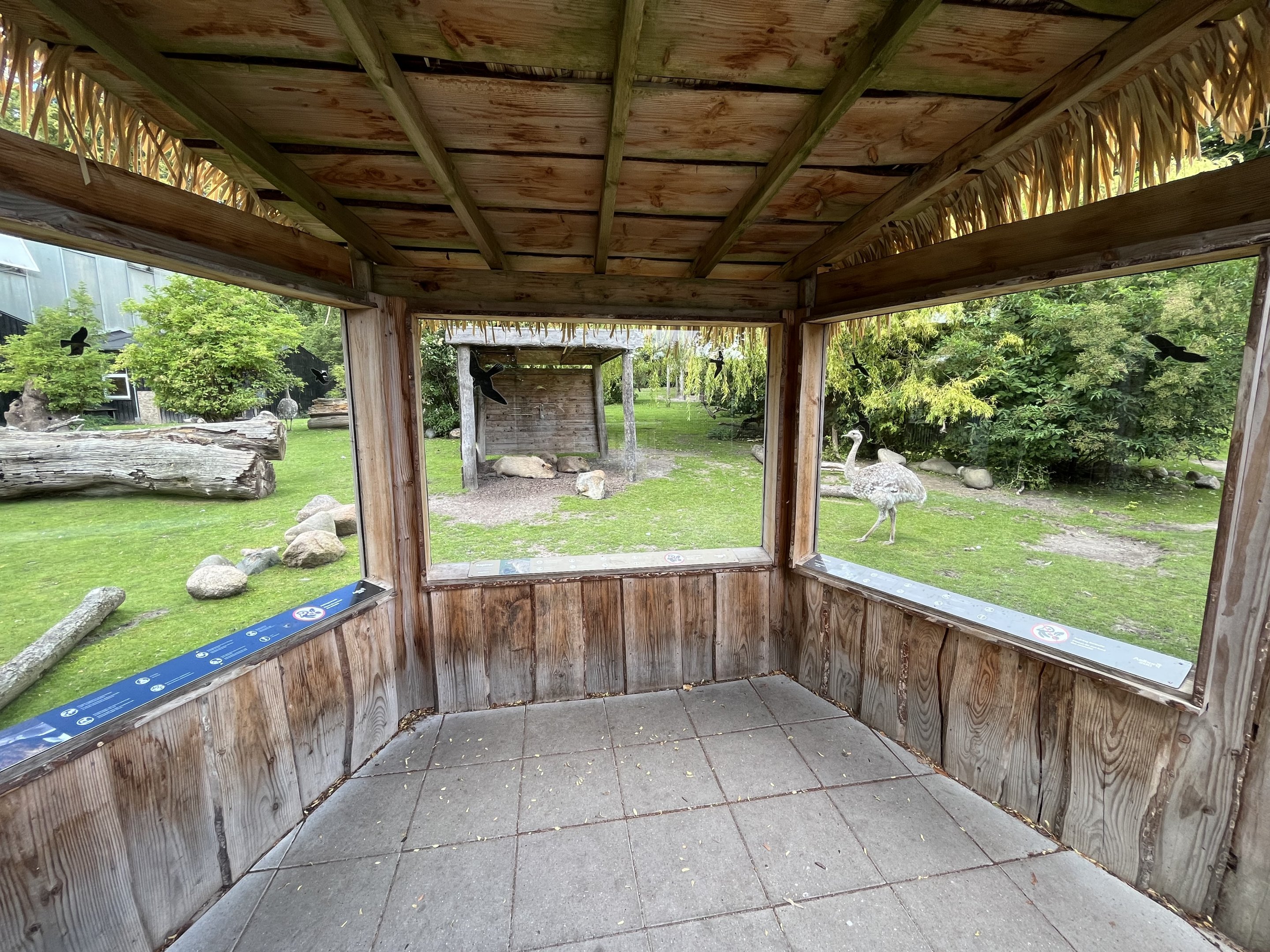 South American Pampas