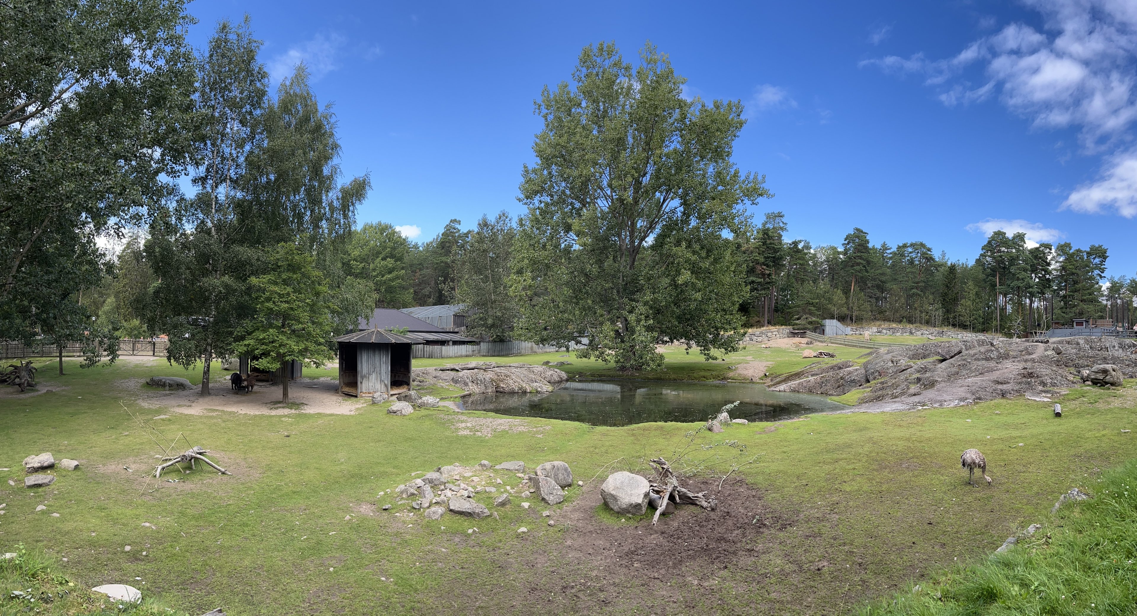 South American Pampas