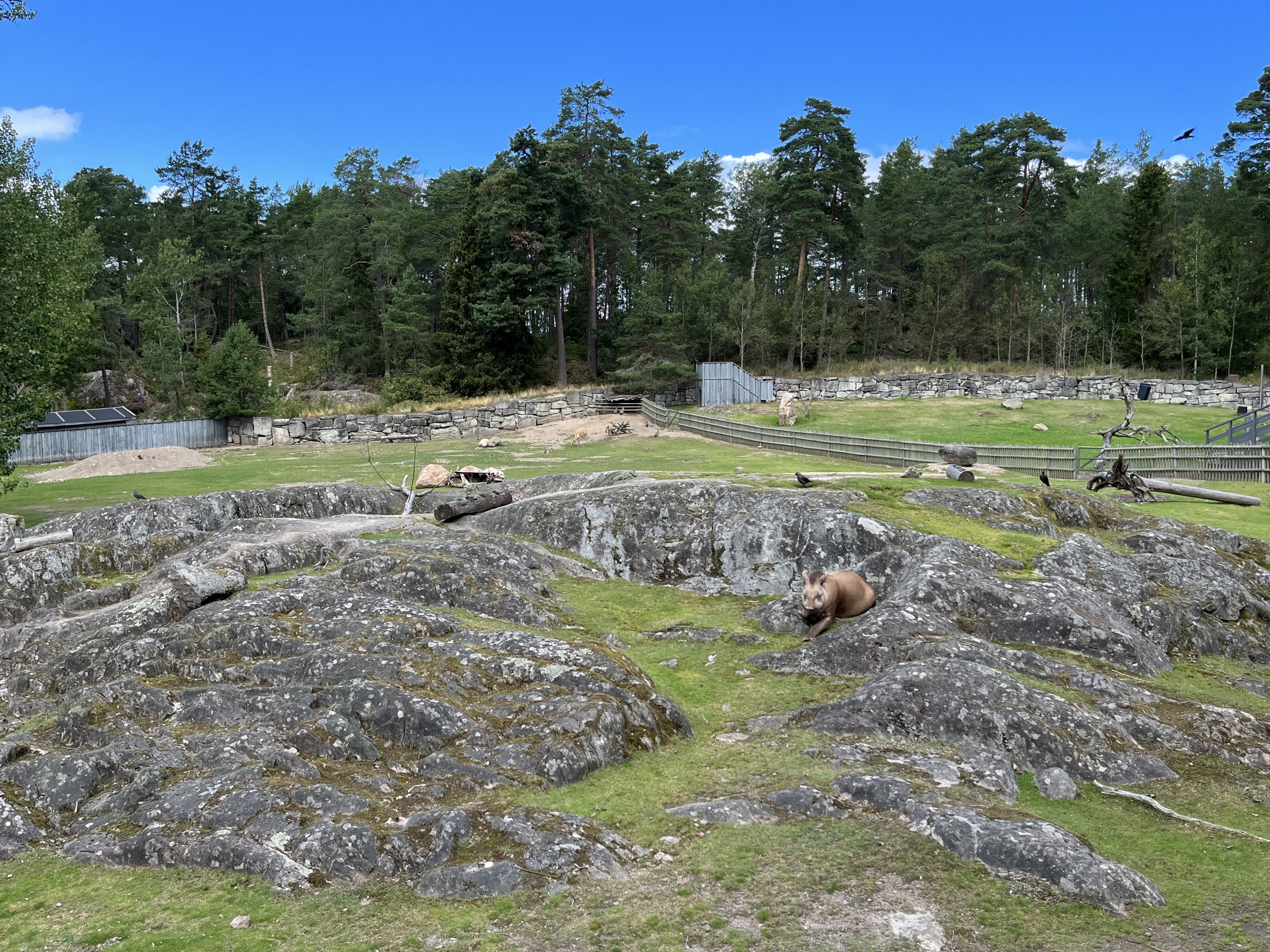 South American Pampas