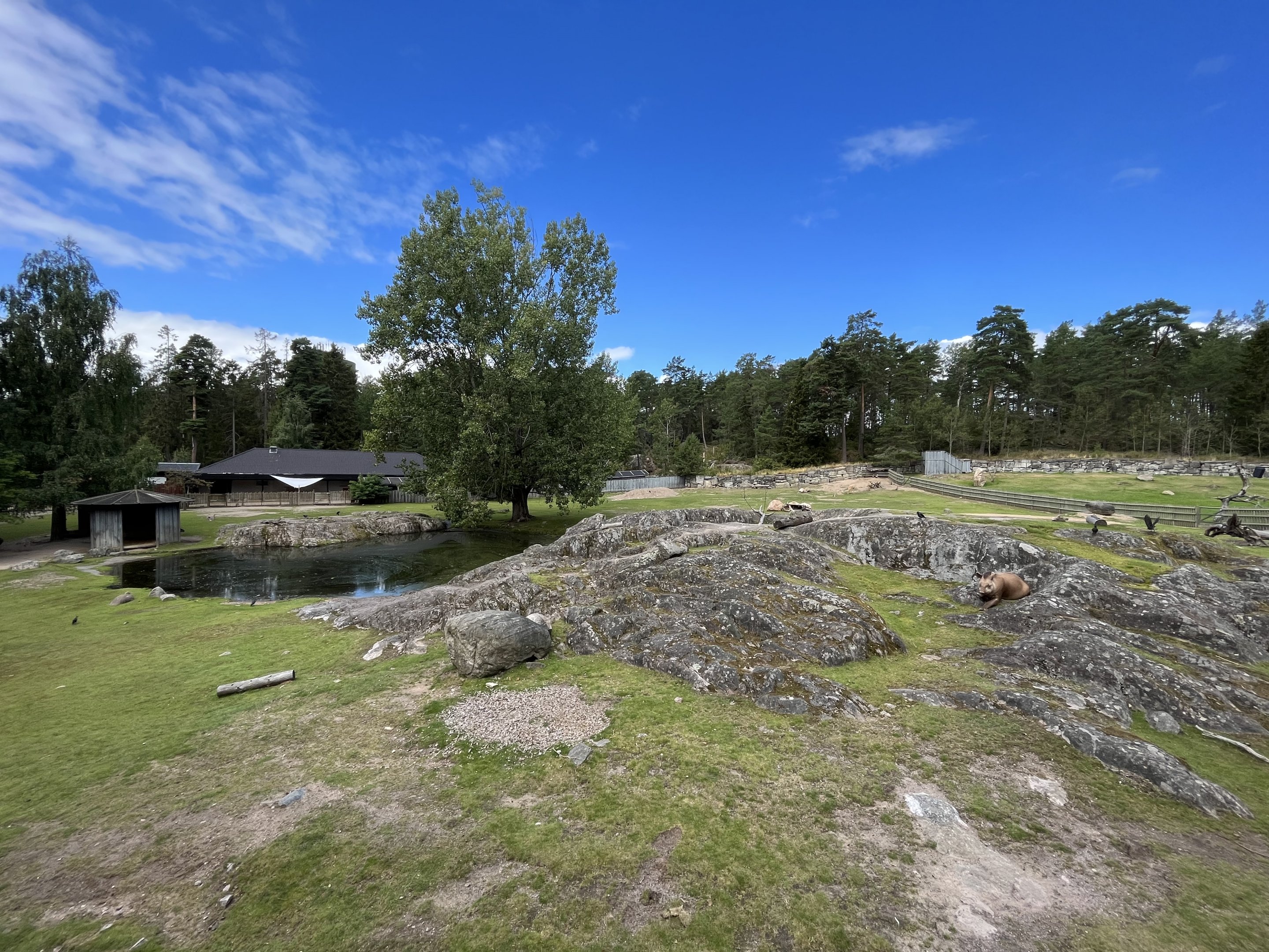 South American Pampas