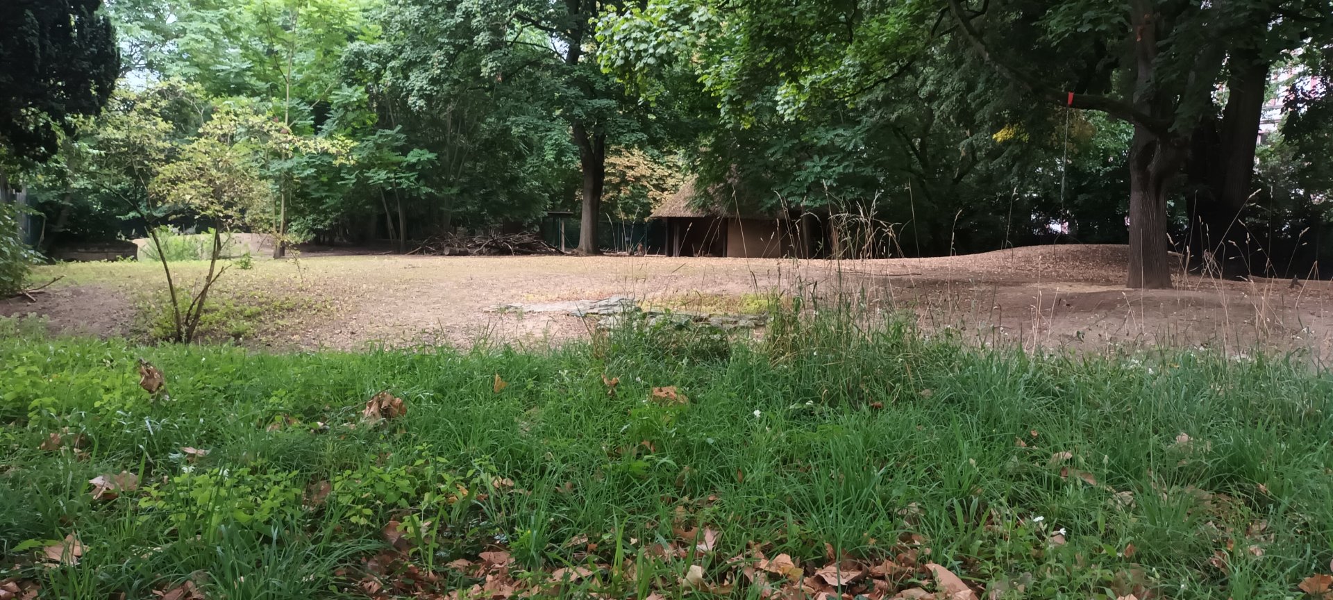 South American Pampas