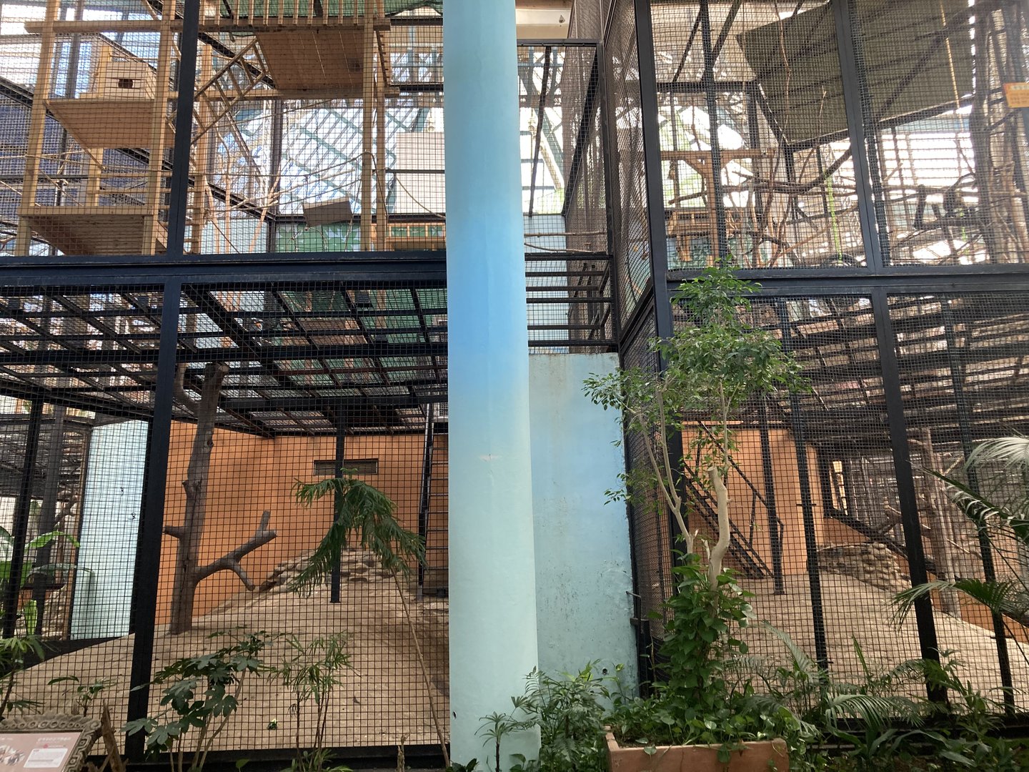 South American Pavilion cages