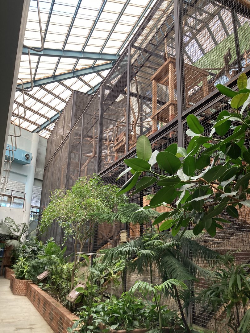 South American Pavilion cages