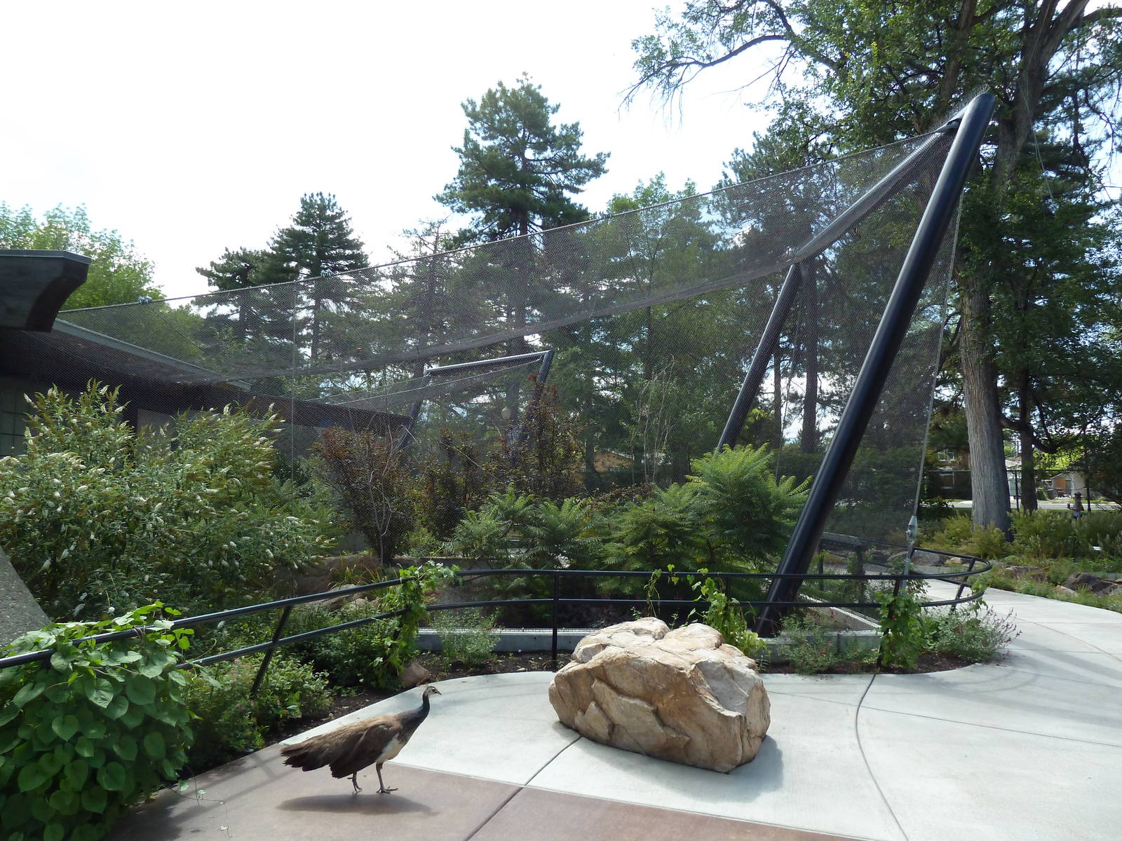 South American Pavilion (review below)