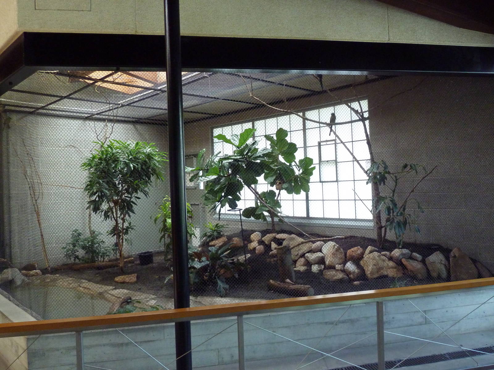 South American Pavilion (review below)