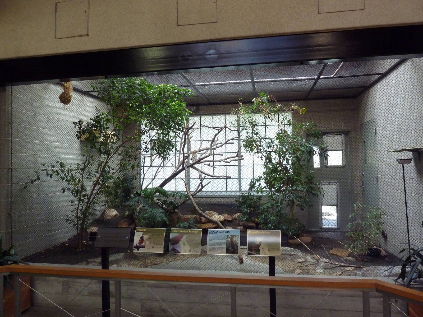 South American Pavilion (review below)