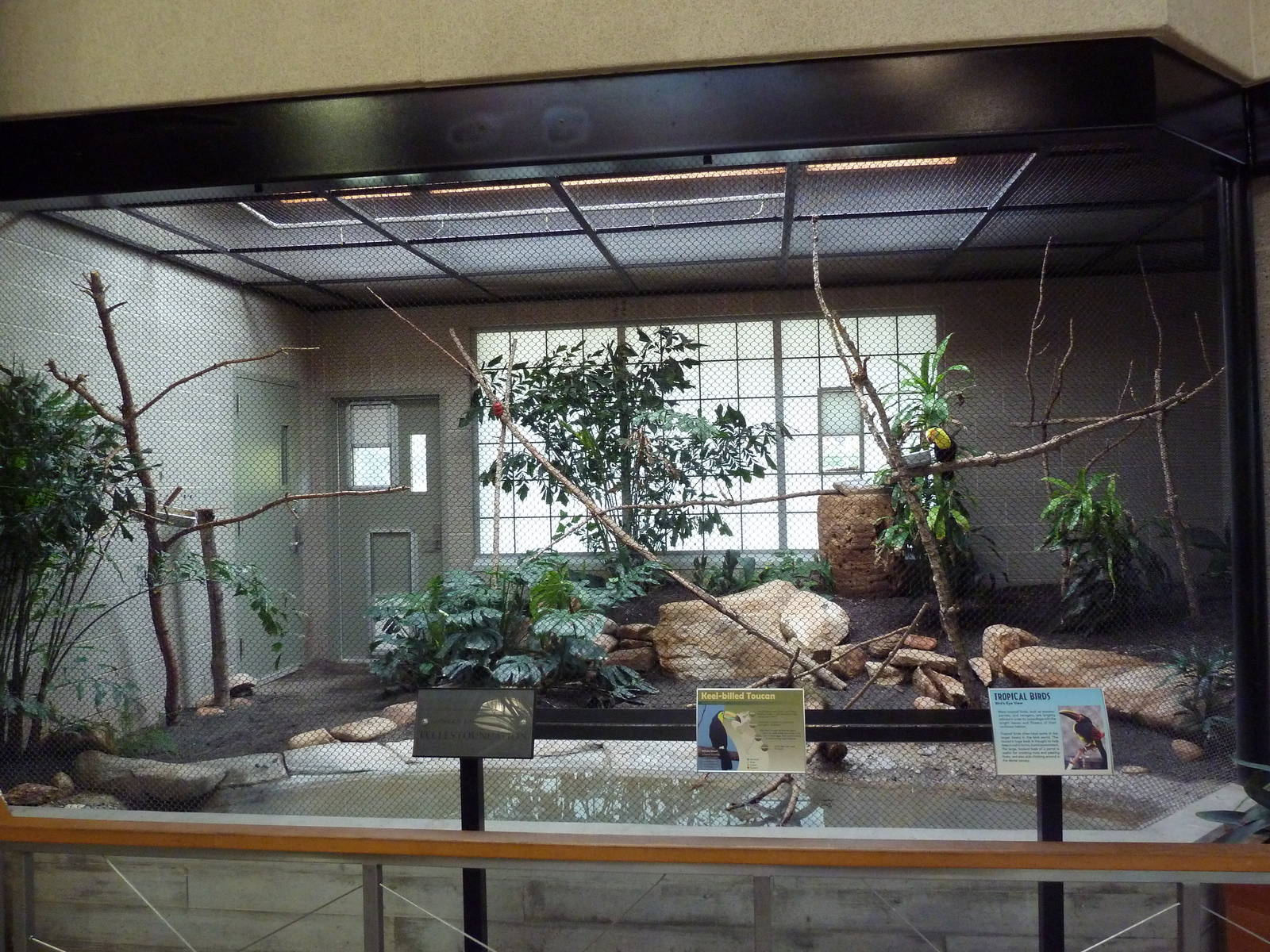 South American Pavilion (review below)