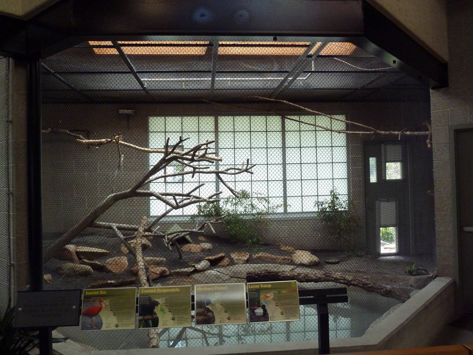 South American Pavilion (review below)