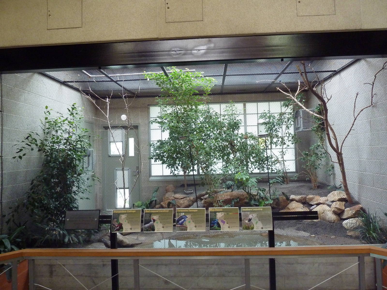 South American Pavilion (review below)