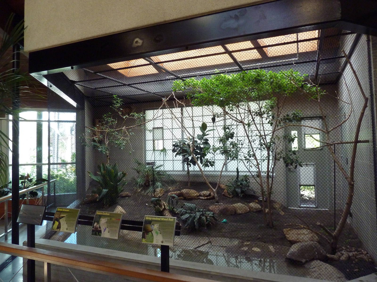 South American Pavilion (review below)