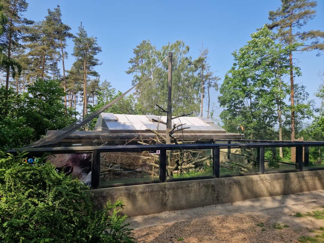 South American Pavilion