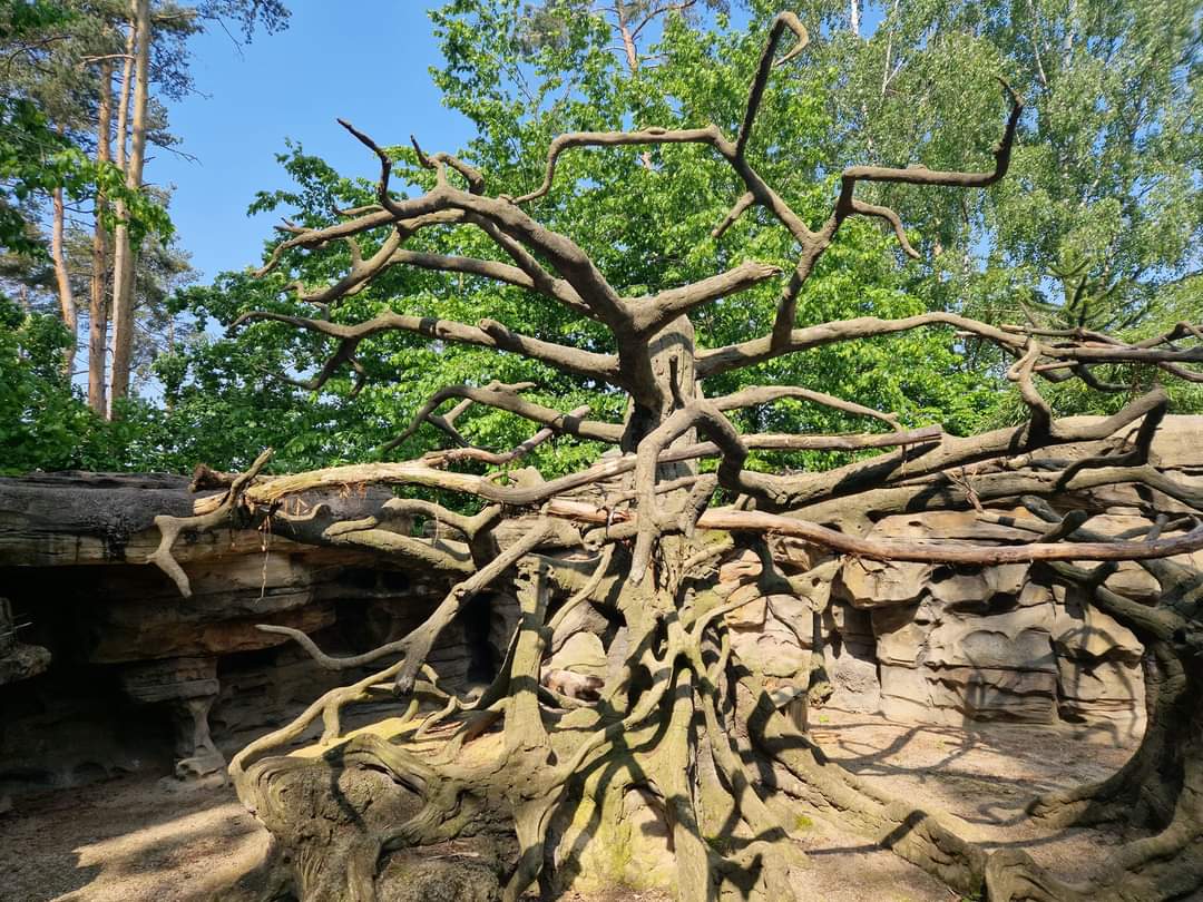 South American Pavilion