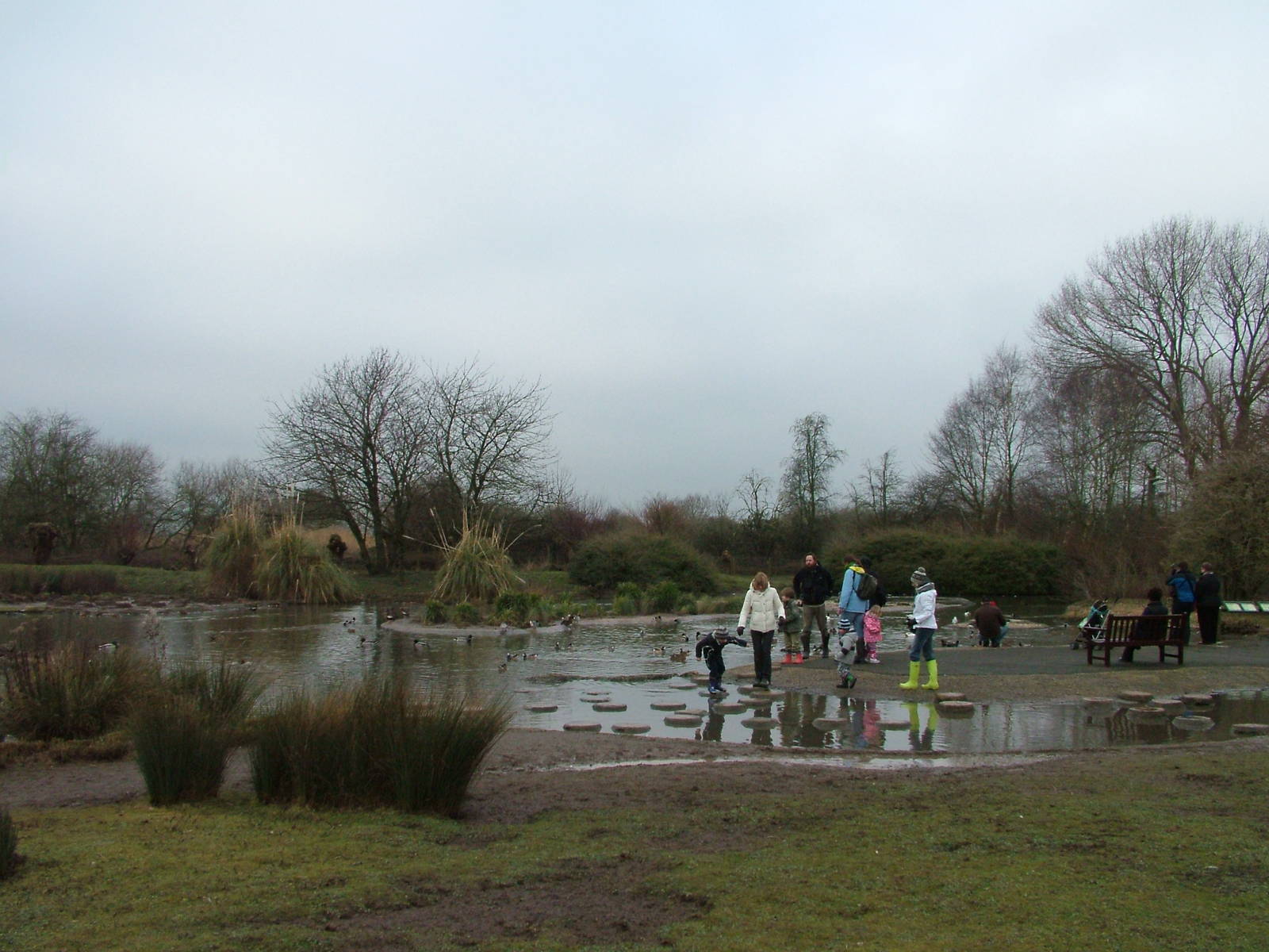South American pen at Slimbridge 06/02/10
