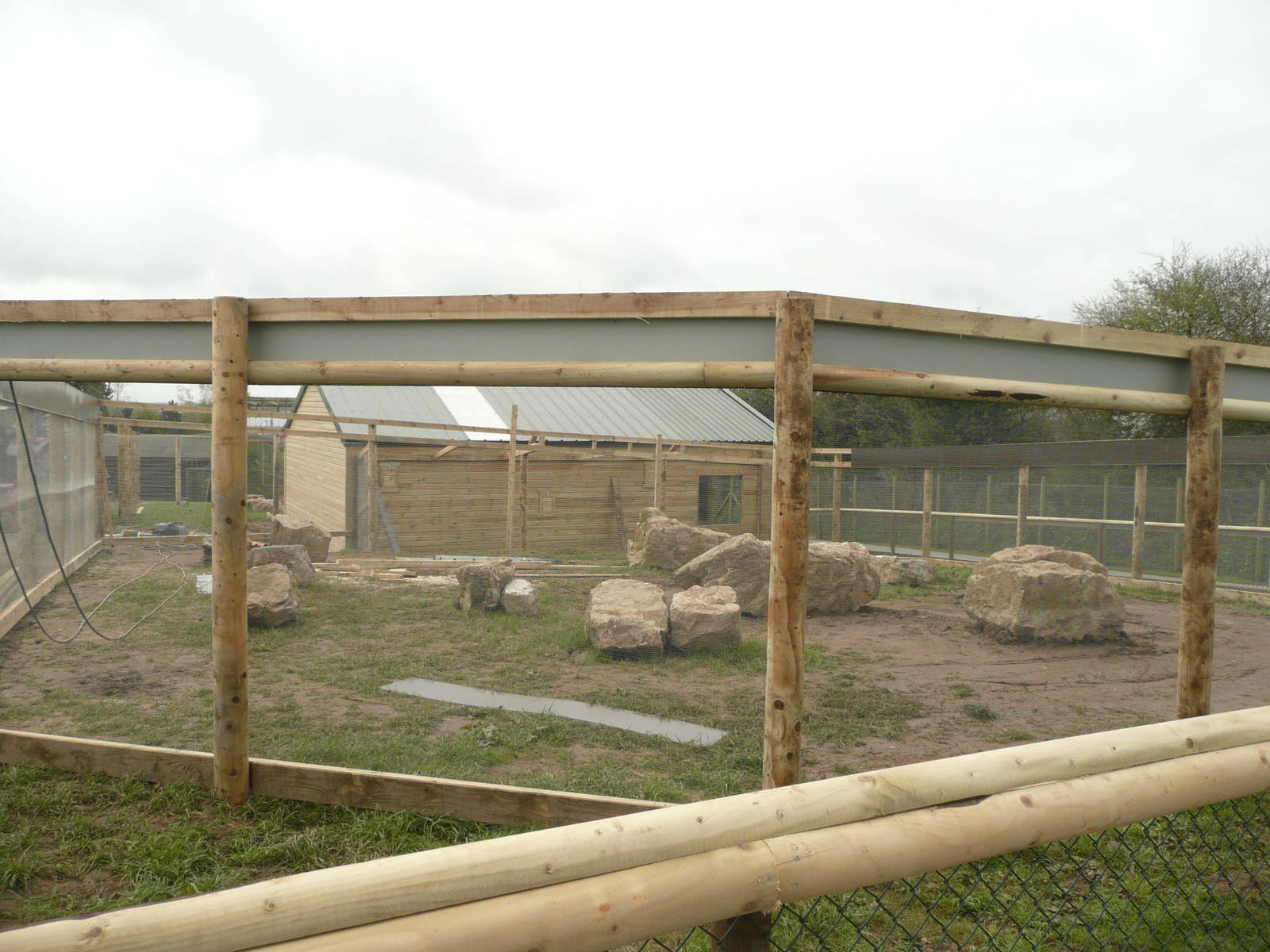 South American Primates