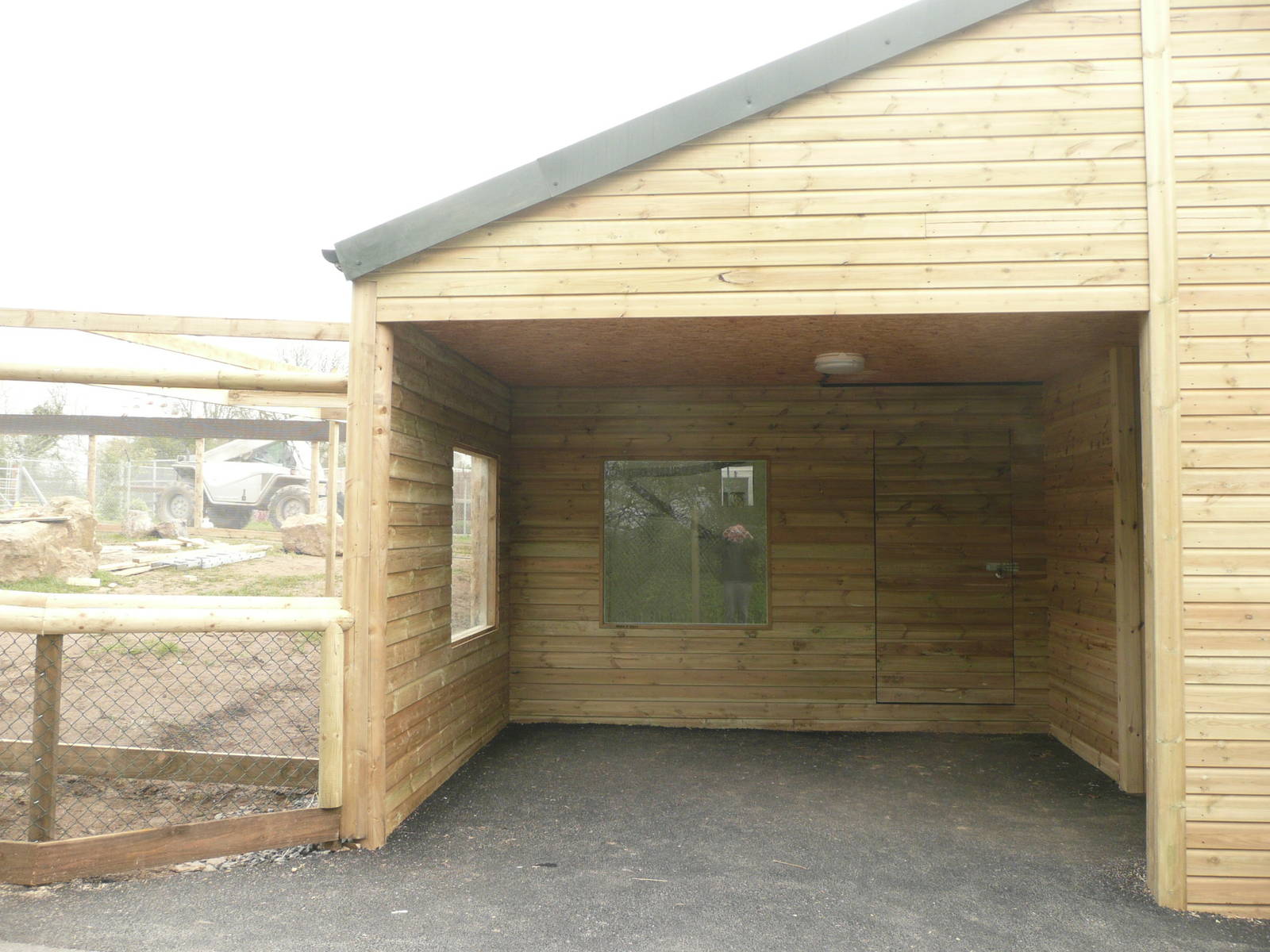 South American Primates