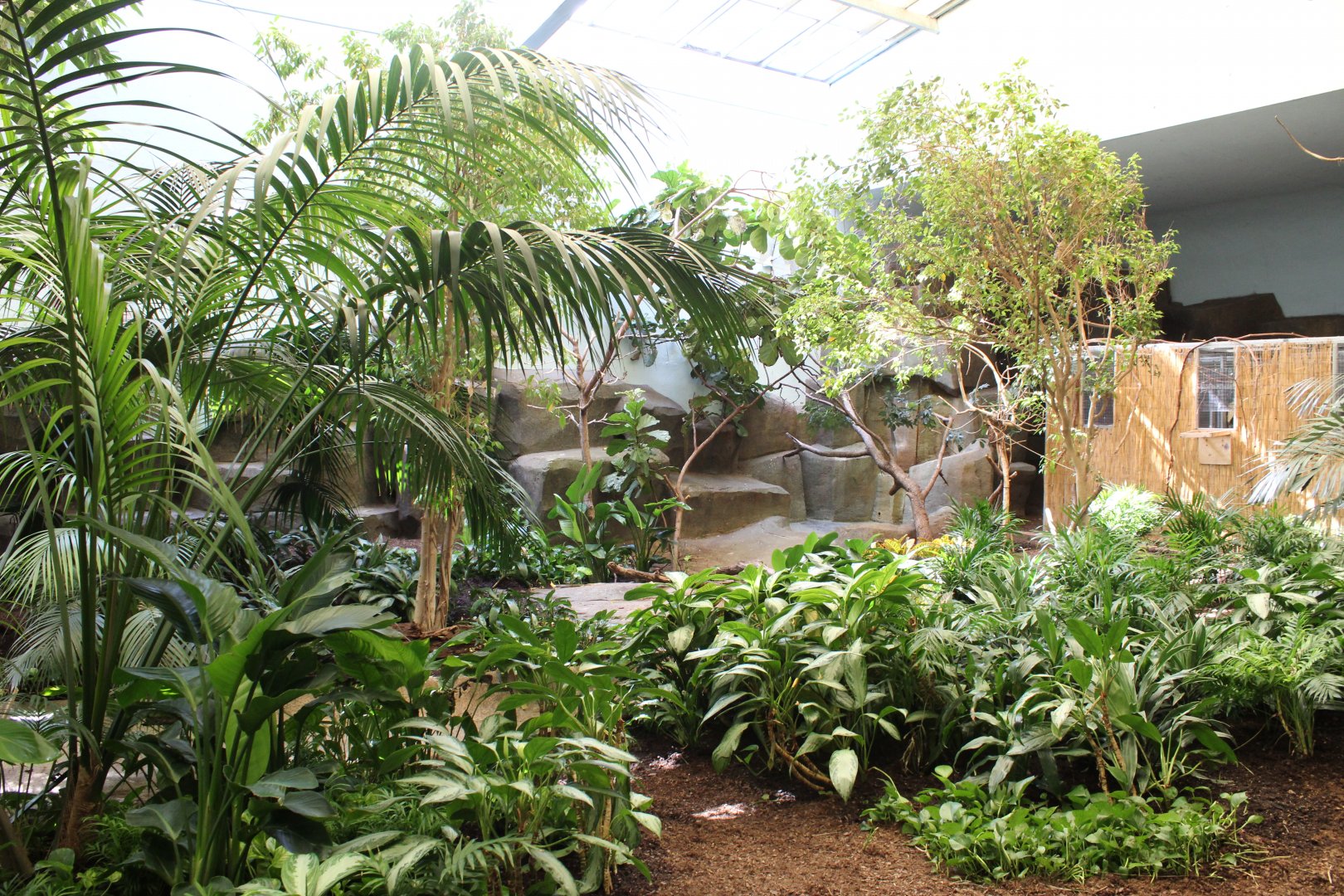 South American Rainforest Aviary - Feathers & Scales