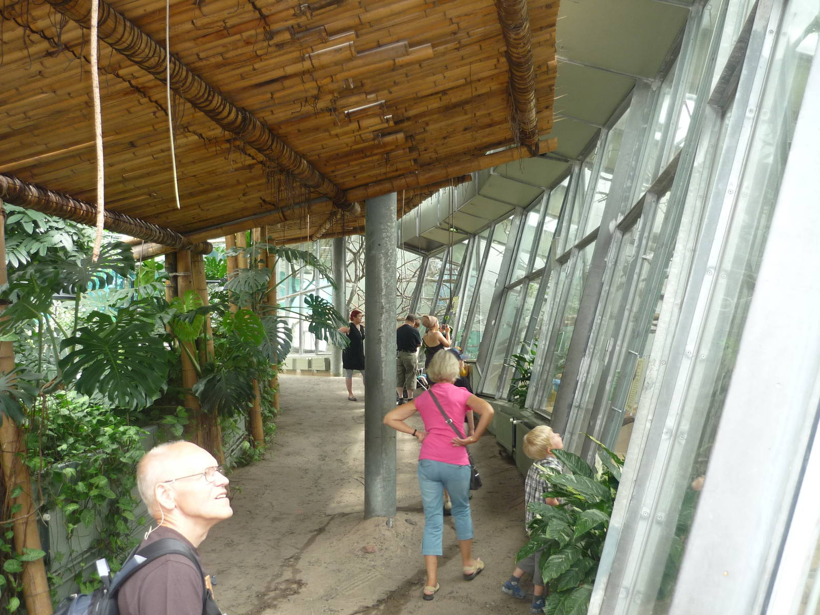 South American Rainforest Exhibit, Monkey Section