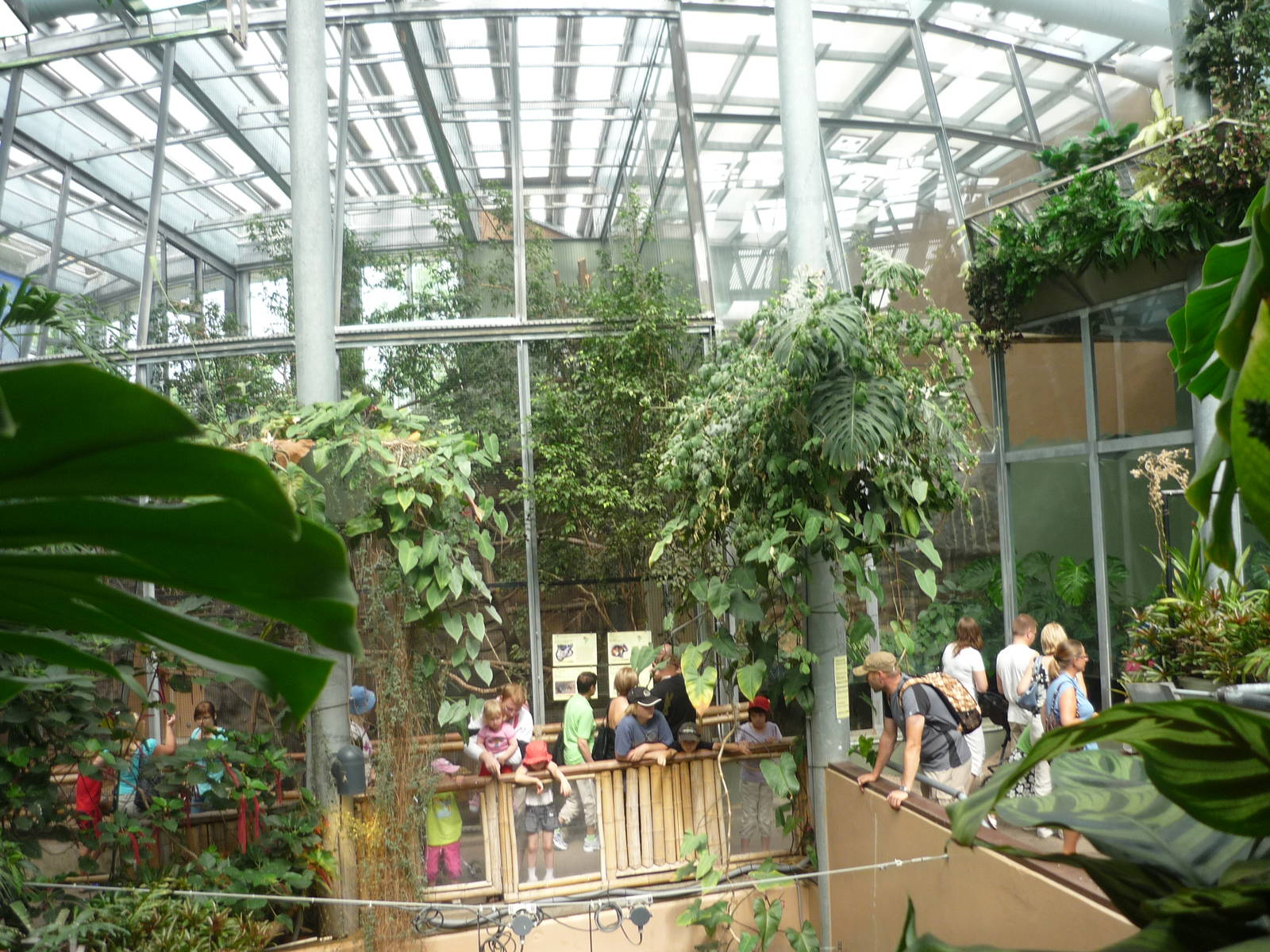 South American Rainforest Exhibits