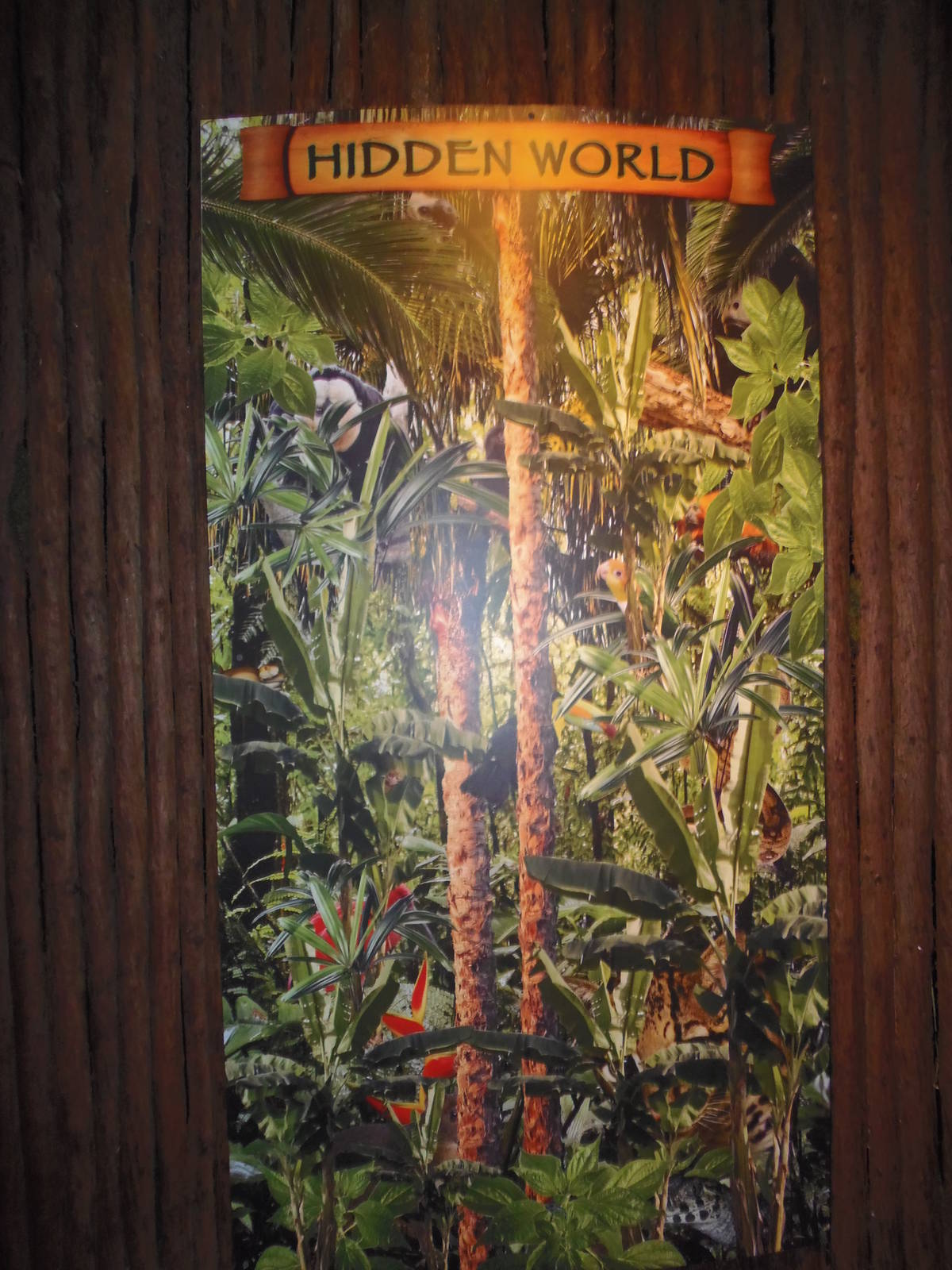 South American Rainforest- New Hidden World Sign