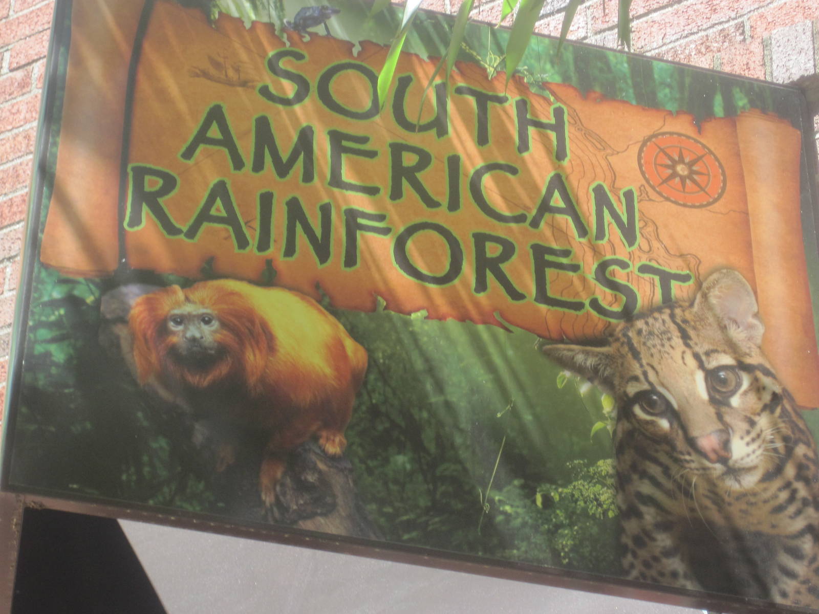 South American Rainforest- New Sign