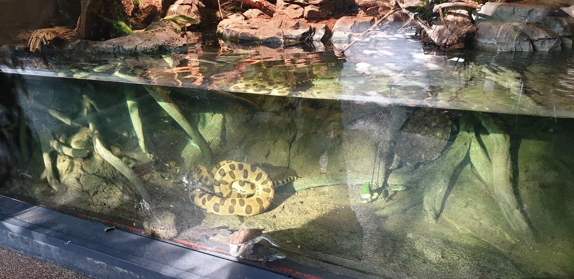 South American river-exhibit