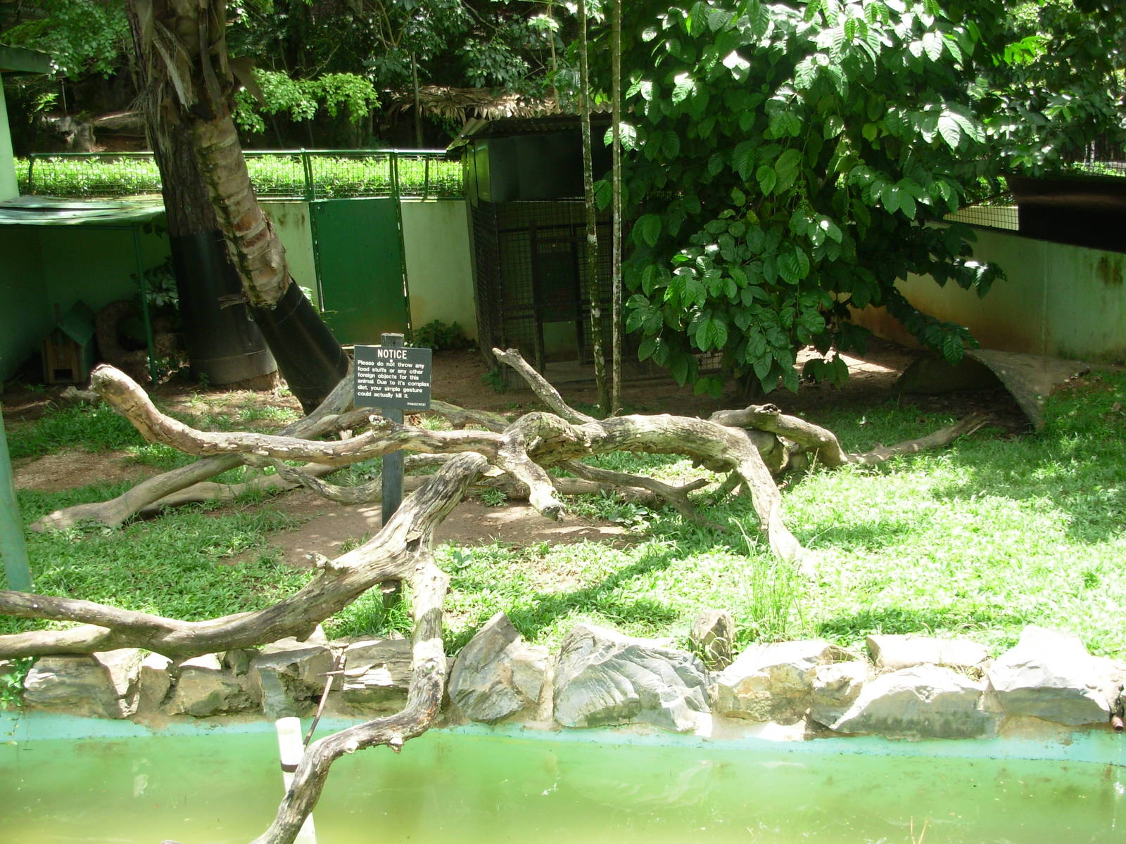 South American River Otter Exhibit