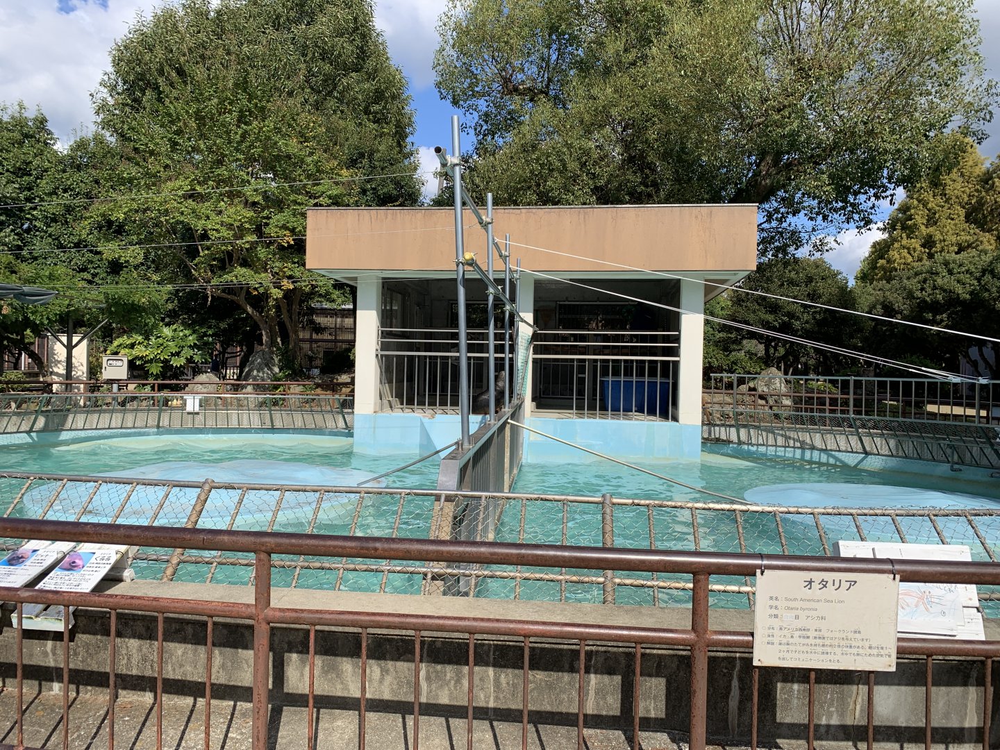 South American Sea Lion Enclosure (Himeji City Zoo)