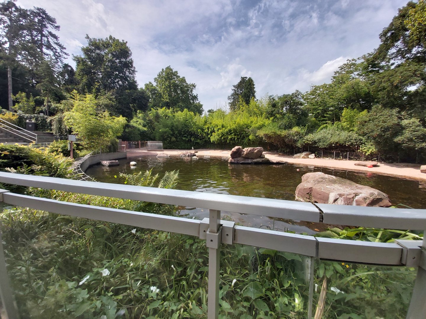 South American sea lion enclosure