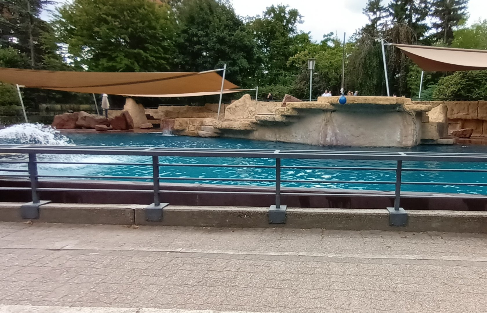 South american sea Lion Enclosure