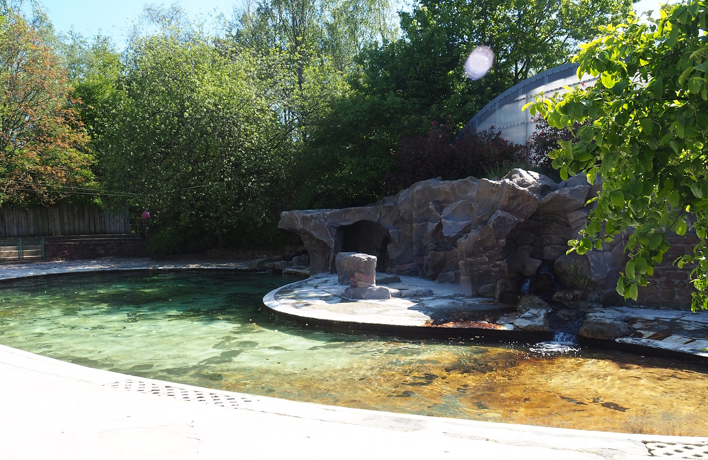 South American sea lion exhibit, 2023-05-19