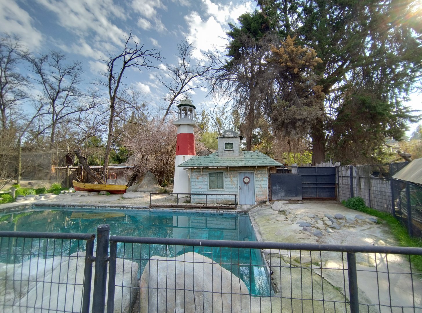 South american sea lion exhibit - Buin zoo
