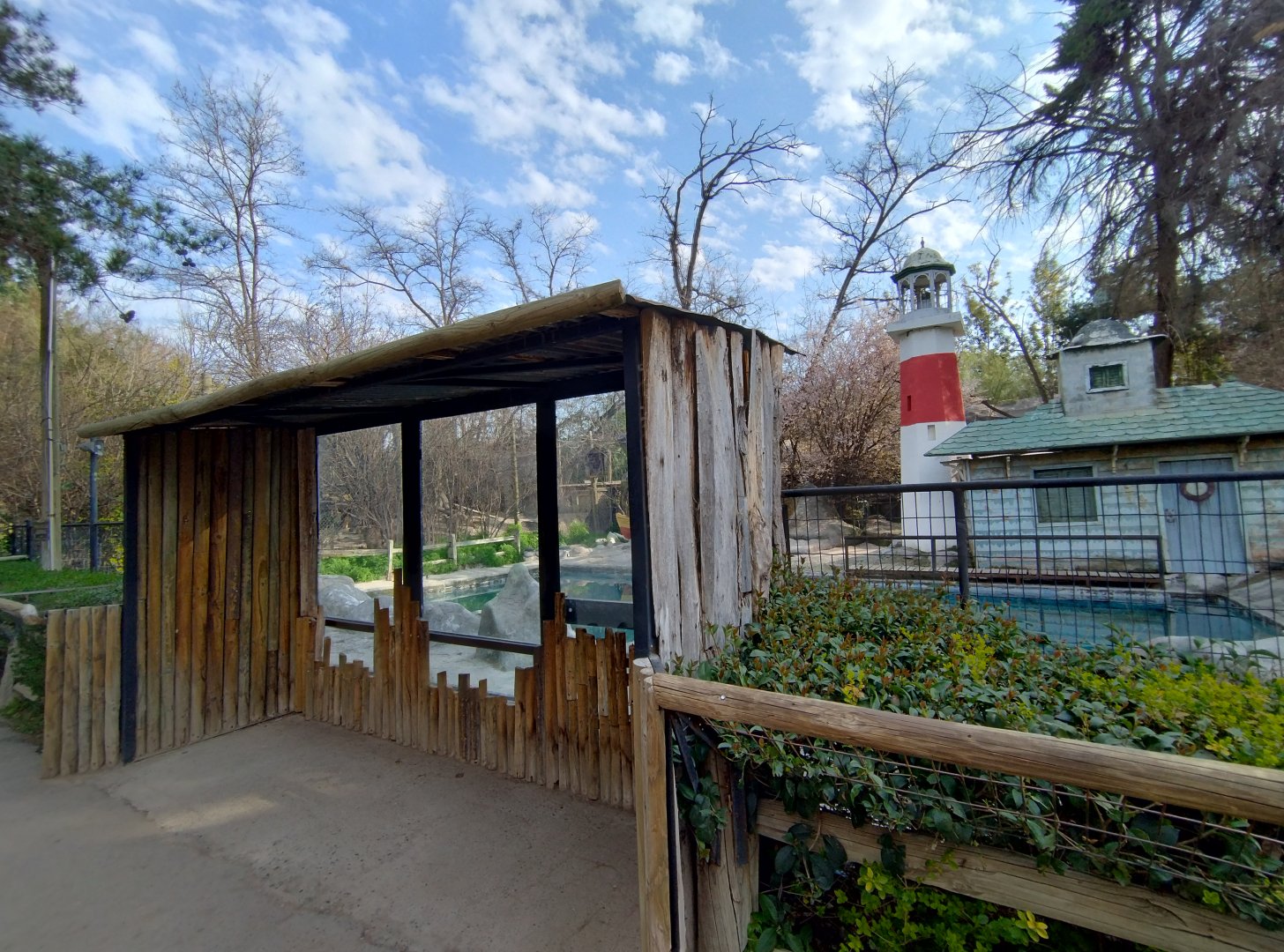 South american sea lion exhibit - Buin zoo