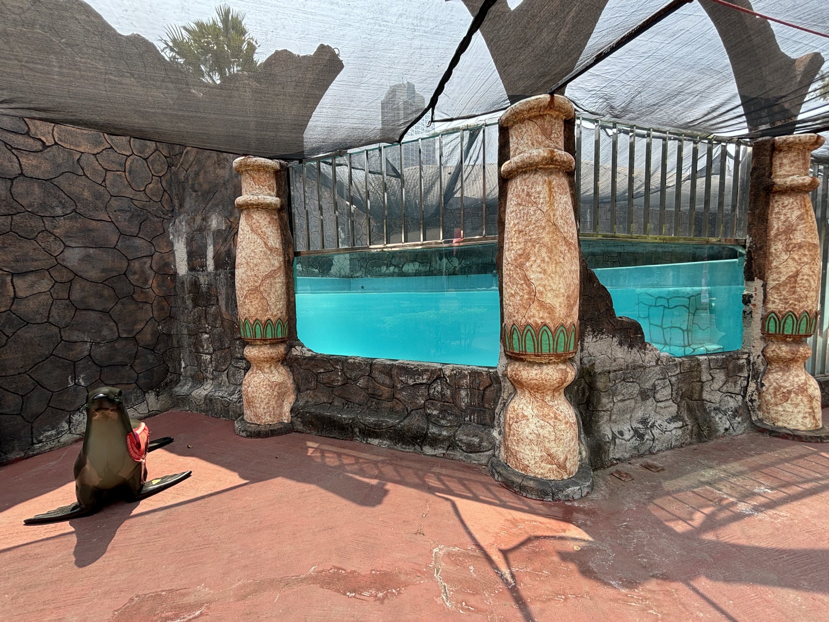 South American Sea Lion Exhibit