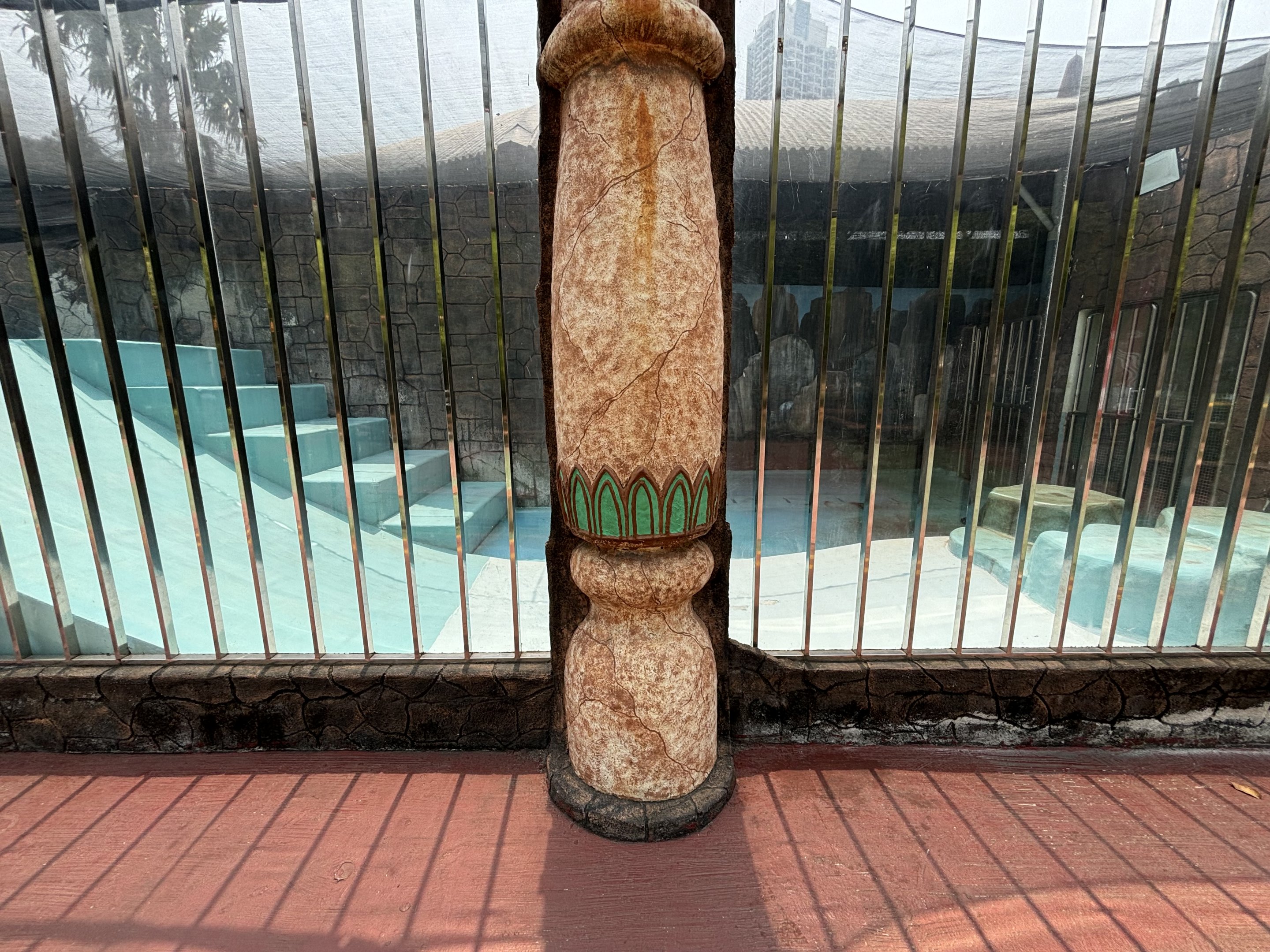 South American Sea Lion Exhibit