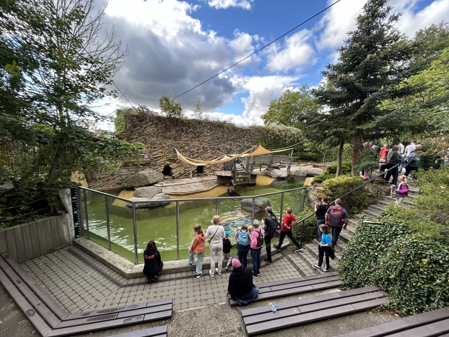 South American Sea Lion Exhibit