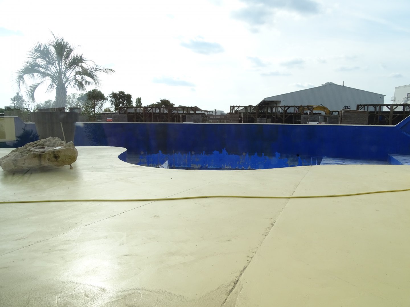 South American sea lion exhibit