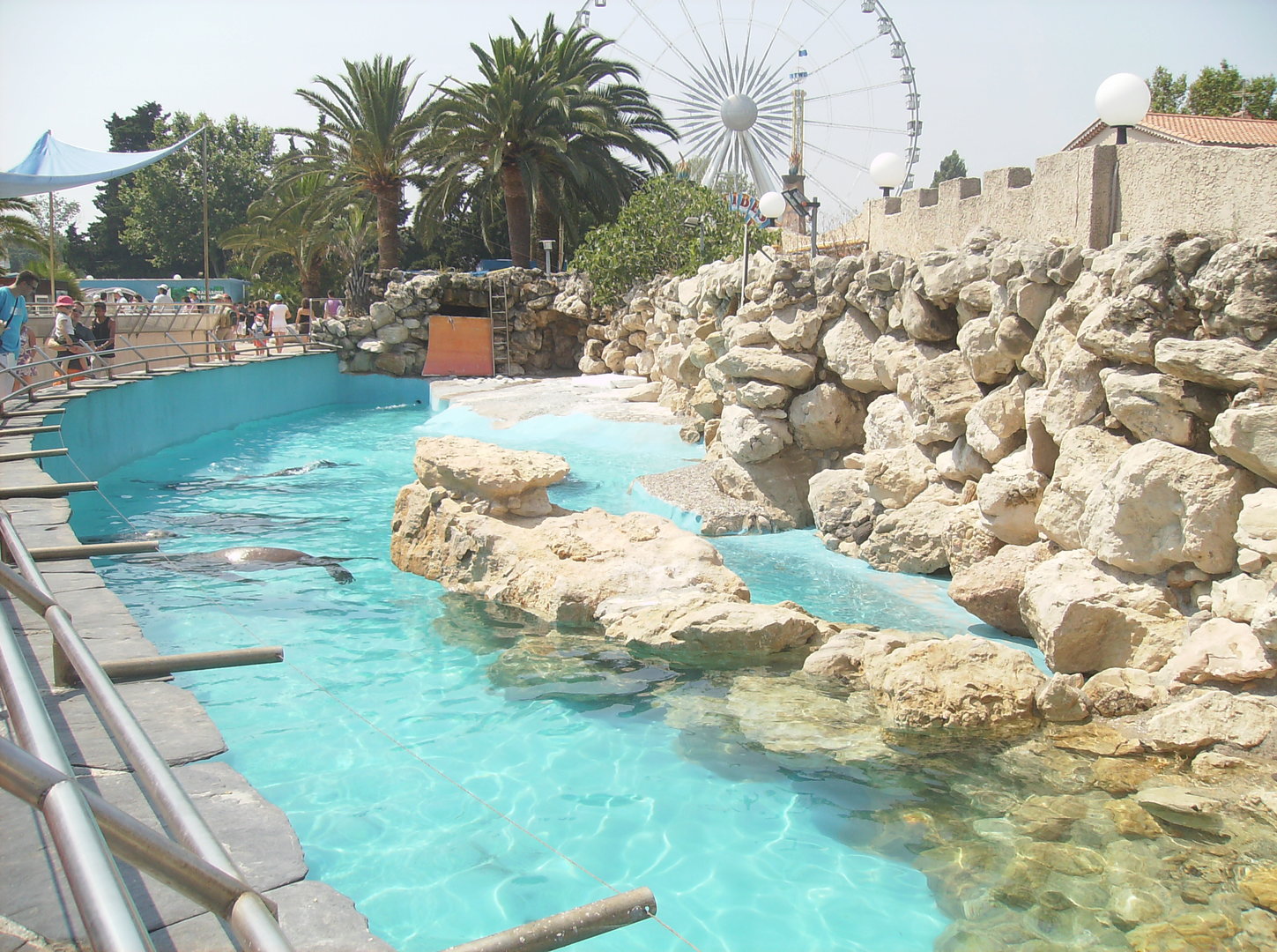 South American sea lions exhibit - 2010